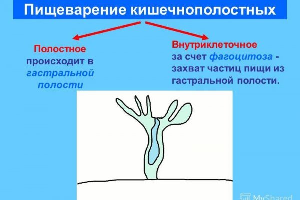 Почему кракен перестал работать