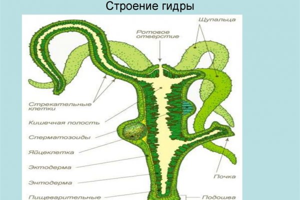 Онион сайты